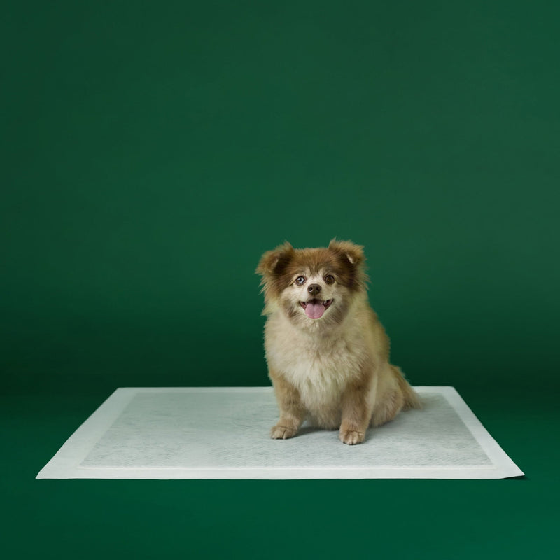 Disposable Dog Pee Pads with AbsorbShield+ Technology L5